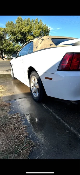 2004 Ford SN95 Mustang - Image 10 of 11