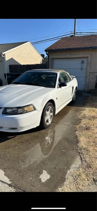 2004 Ford SN95 Mustang - Image 7 of 11