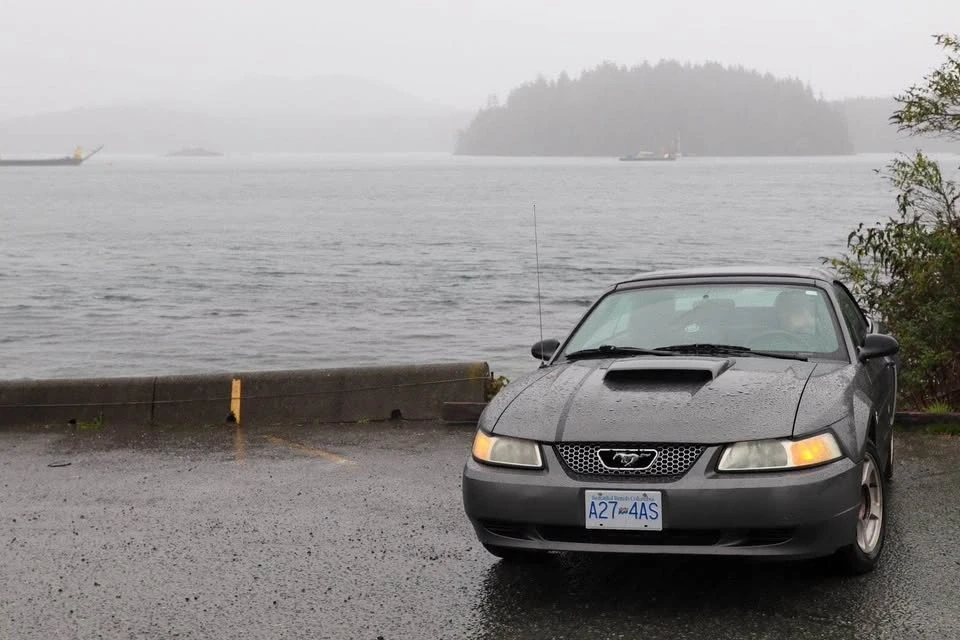 2004 Ford SN95 Mustang - Image 2 of 10