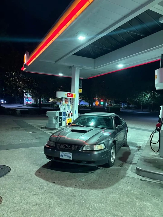 2004 Ford SN95 Mustang - Image 3 of 10