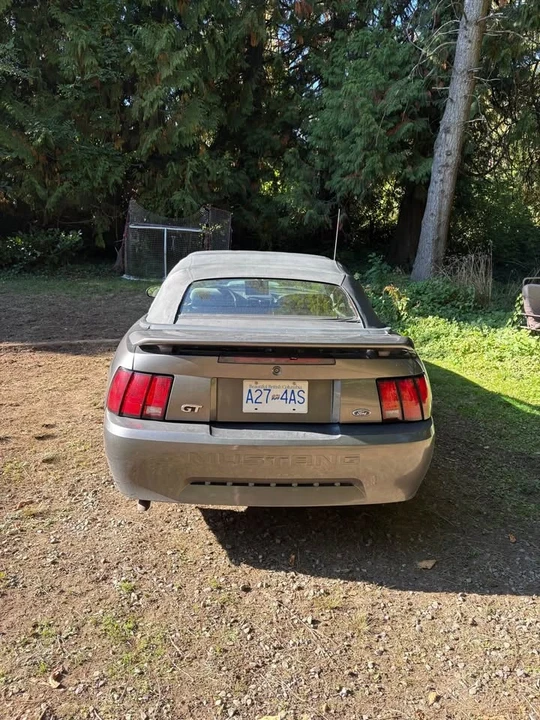 2004 Ford SN95 Mustang - Image 7 of 10