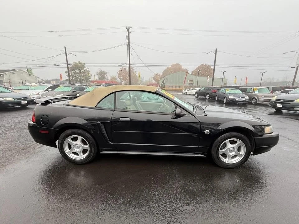 2004 Ford SN95 Mustang - Image 3 of 8