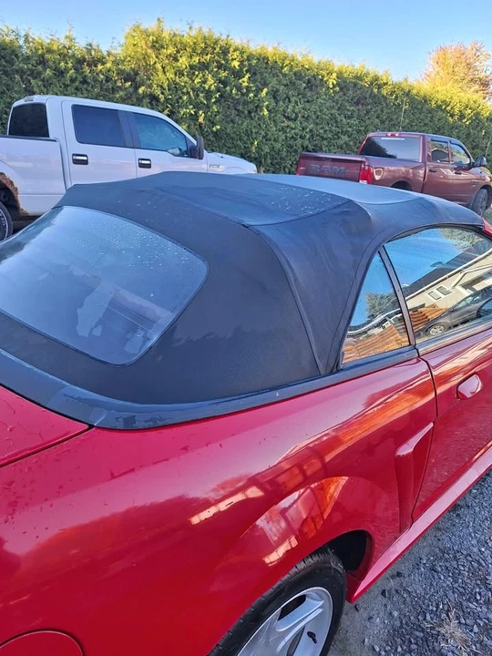 2004 Ford SN95 Mustang - Image 3 of 11