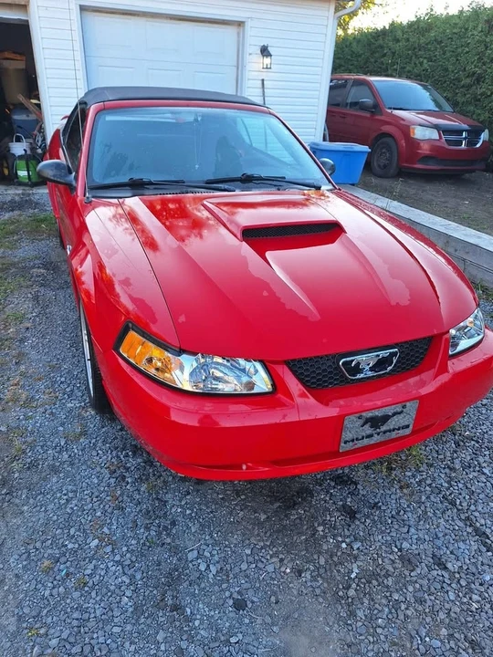 2004 Ford SN95 Mustang - Image 2 of 11