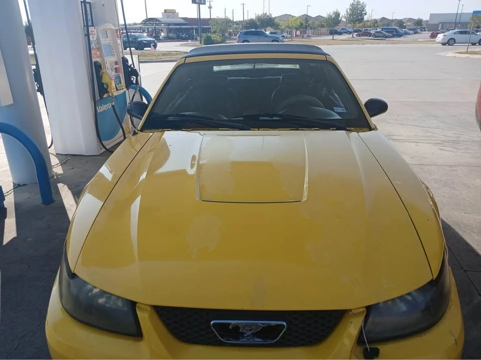 2004 Ford SN95 Mustang - Image 2 of 7