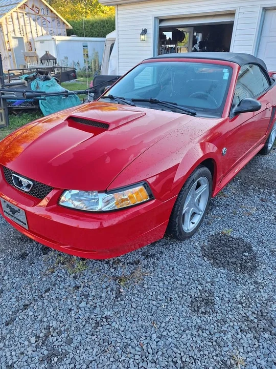 2004 Ford SN95 Mustang - Image 7 of 11