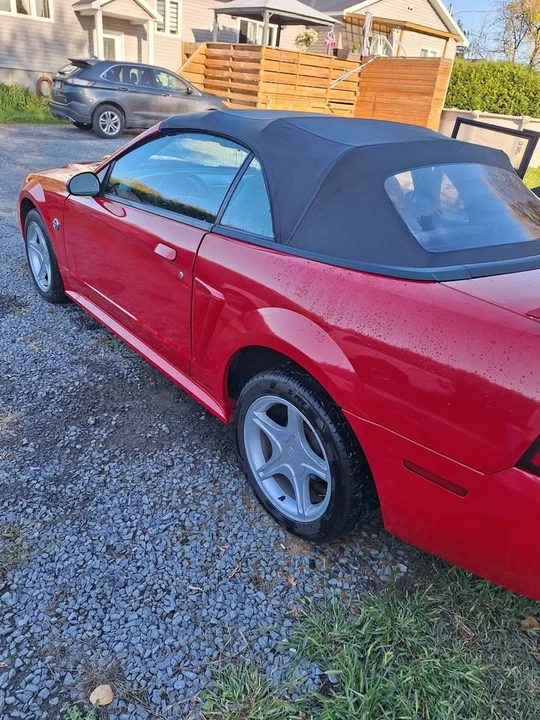 2004 Ford SN95 Mustang - Image 6 of 11