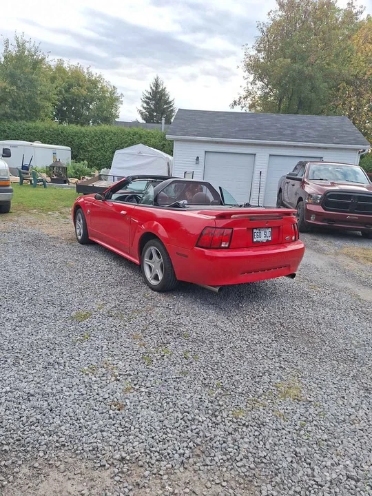2004 Ford SN95 Mustang - Image 11 of 11