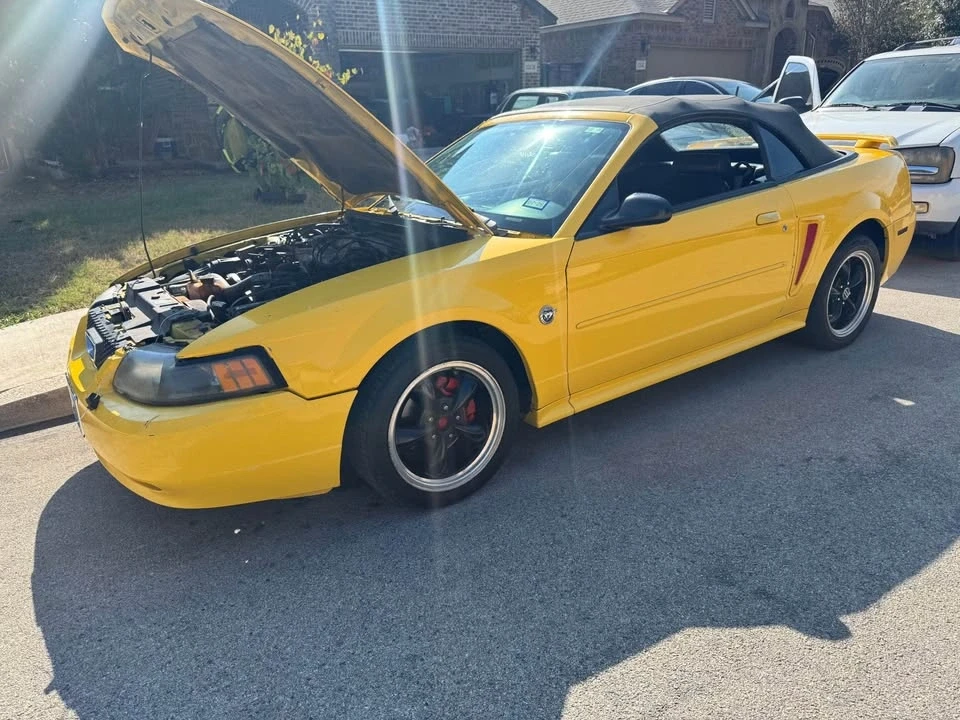 2004 Ford SN95 Mustang - Image 7 of 7