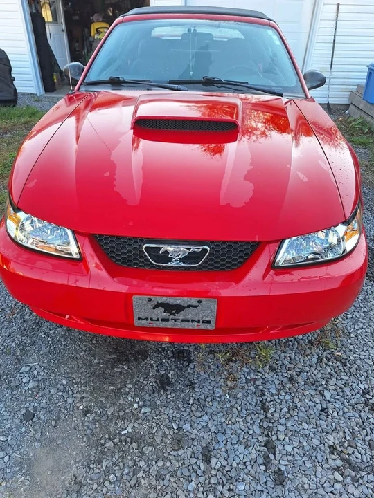 2004 Ford SN95 Mustang - Image 8 of 11