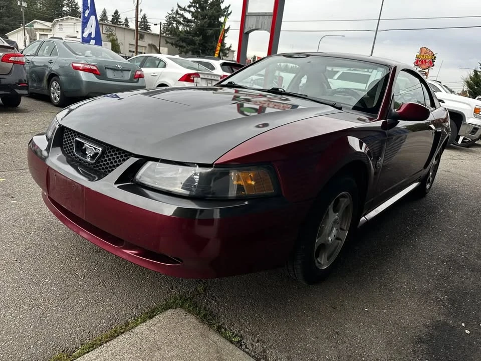 2004 Ford SN95 Mustang - Image 4 of 15