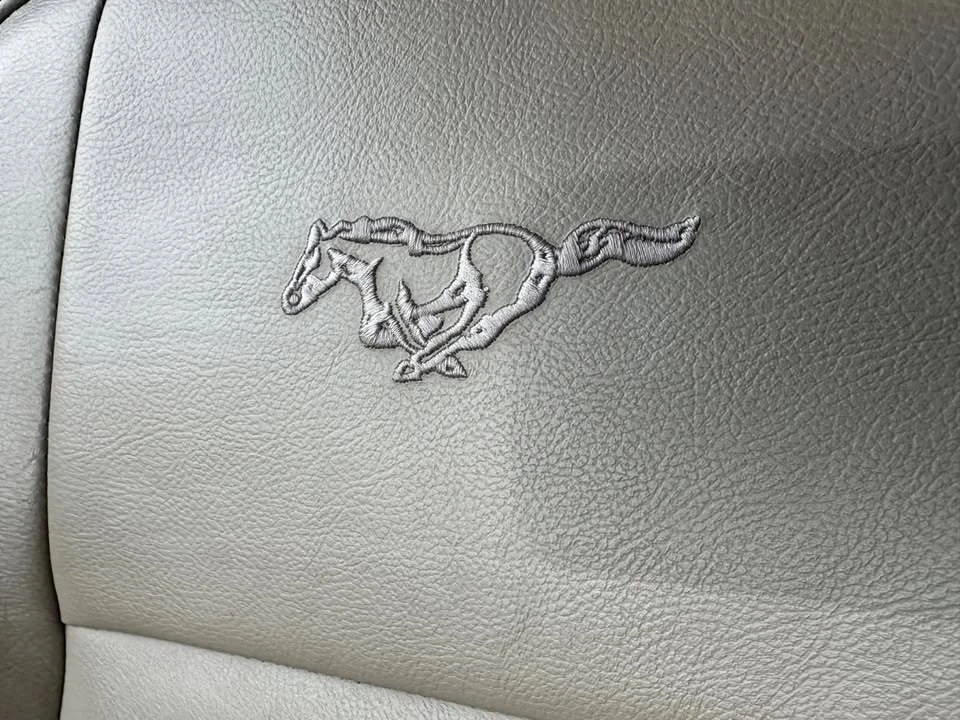 2004 Ford SN95 Mustang - Image 14 of 15