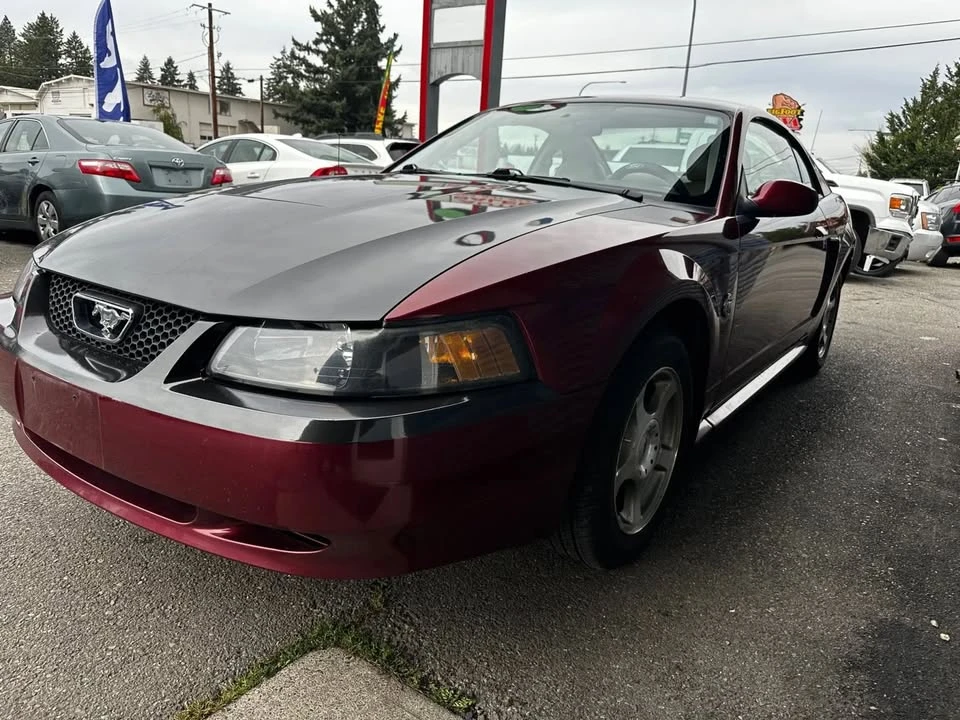 2004 Ford SN95 Mustang - Image 3 of 15