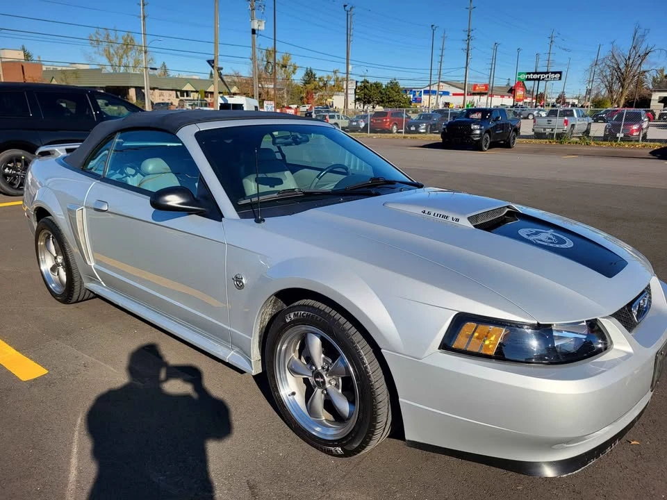 2004 Ford SN95 Mustang - Image 2 of 12
