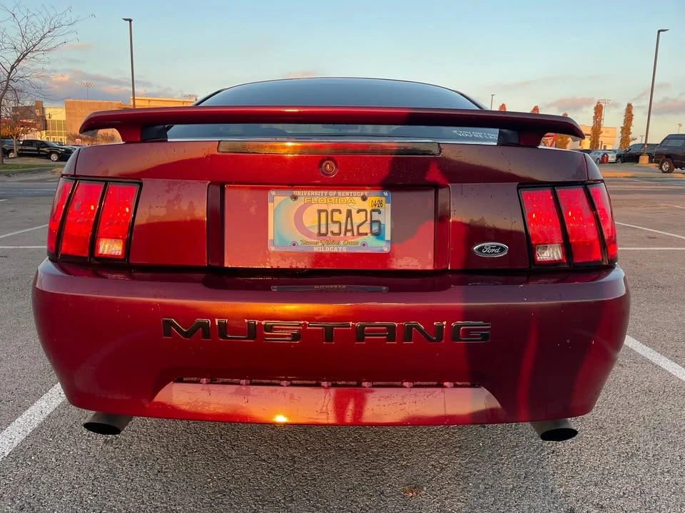 2004 Ford SN95 Mustang - Image 8 of 19