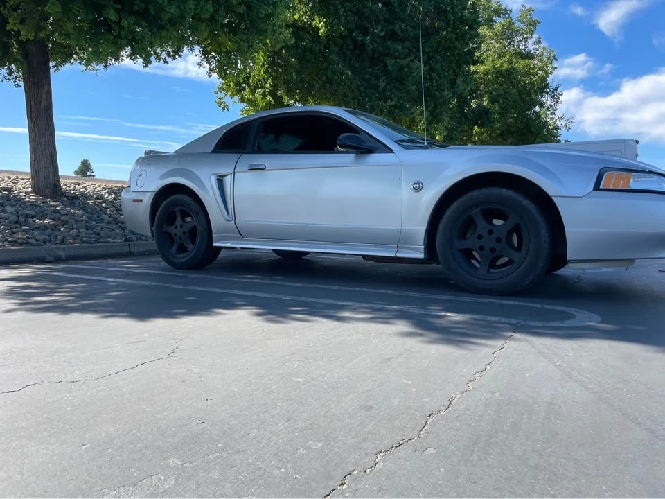 2004 Ford SN95 Mustang - Image 8 of 8