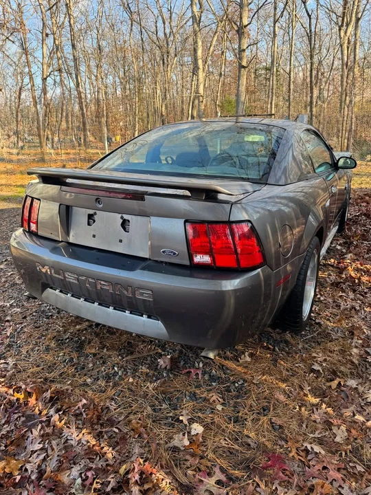2004 Ford SN95 Mustang - Image 2 of 10