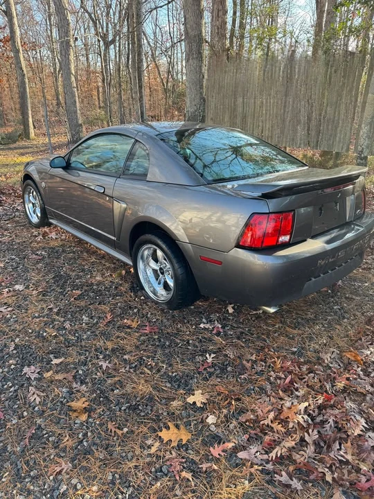 2004 Ford SN95 Mustang - Image 5 of 10
