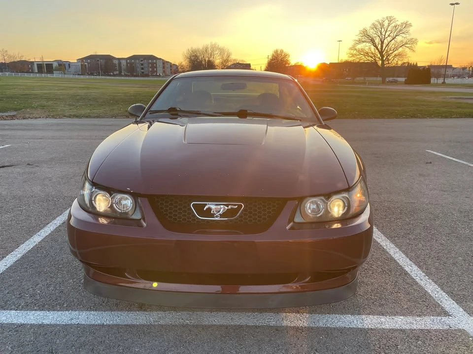 2004 Ford SN95 Mustang - Image 5 of 19