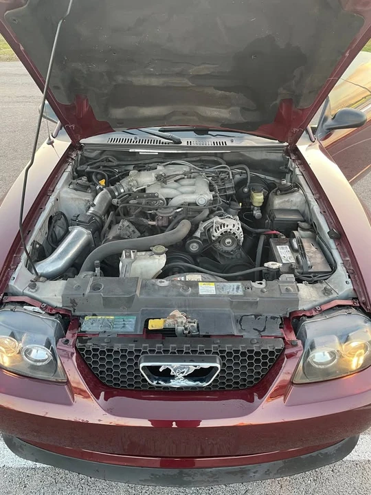2004 Ford SN95 Mustang - Image 9 of 19