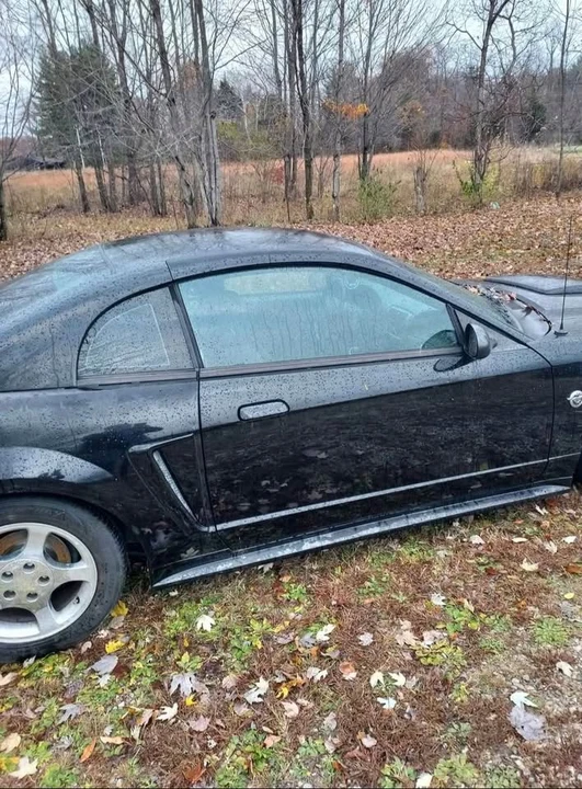 2004 Ford SN95 Mustang - Image 4 of 6
