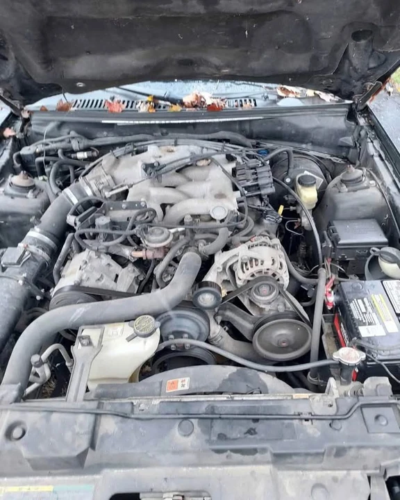 2004 Ford SN95 Mustang - Image 5 of 6
