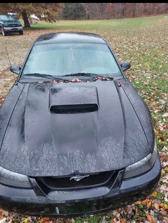2004 Ford SN95 Mustang - Image 3 of 6