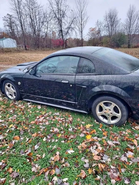 2004 Ford SN95 Mustang - Image 2 of 6