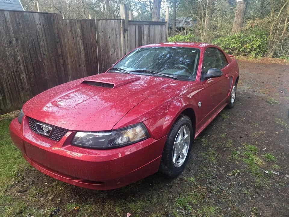 2004 Ford SN95 Mustang - Image 5 of 5