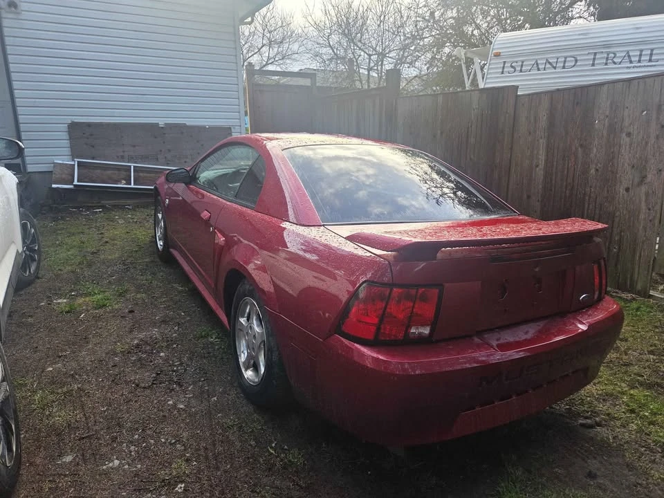 2004 Ford SN95 Mustang - Image 3 of 5