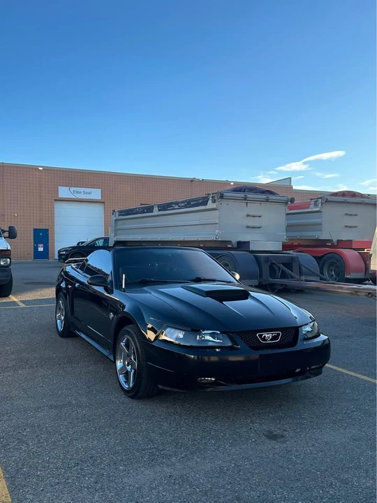 2004 Ford SN95 Mustang - Image 4 of 5