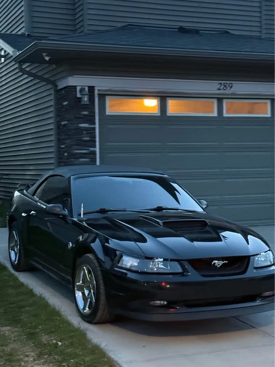 2004 Ford SN95 Mustang - Image 2 of 5
