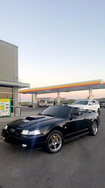 2004 Ford SN95 Mustang - Image 5 of 5