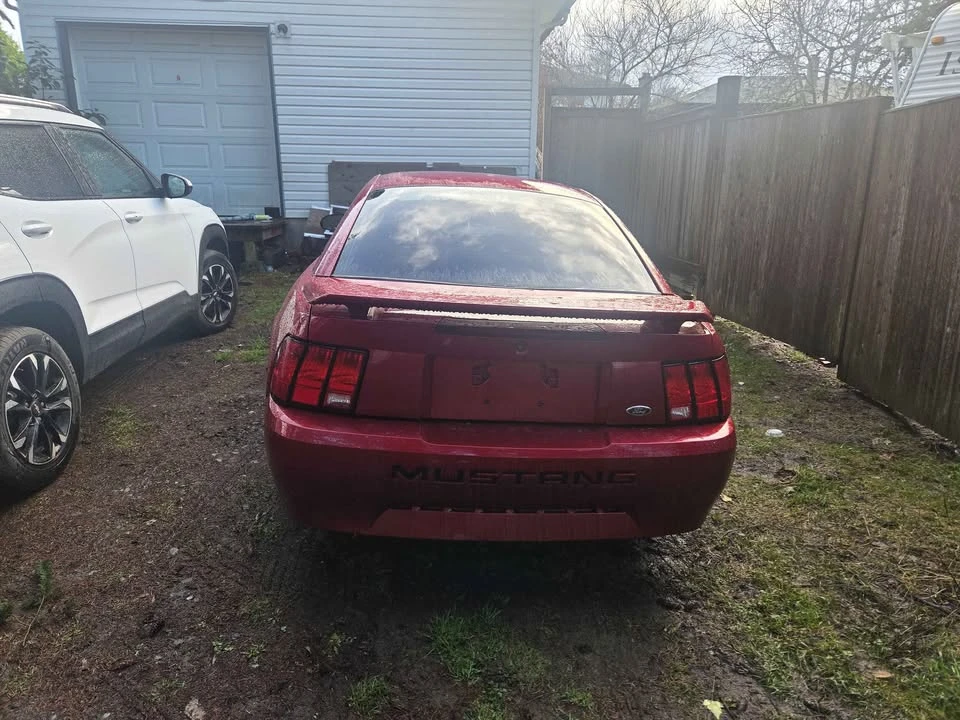 2004 Ford SN95 Mustang - Image 2 of 5