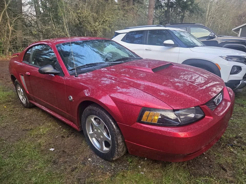 2004 Ford SN95 Mustang - Image 4 of 5