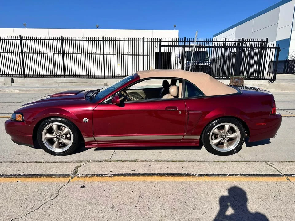 2004 Ford SN95 Mustang - Image 6 of 12