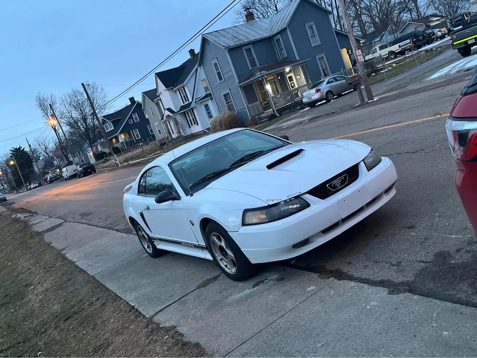 2004 Ford SN95 Mustang - Image 8 of 8