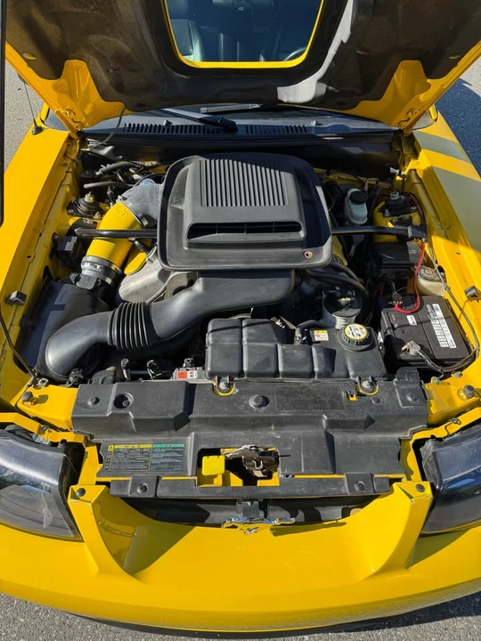 2004 Ford SN95 Mustang - Image 4 of 9