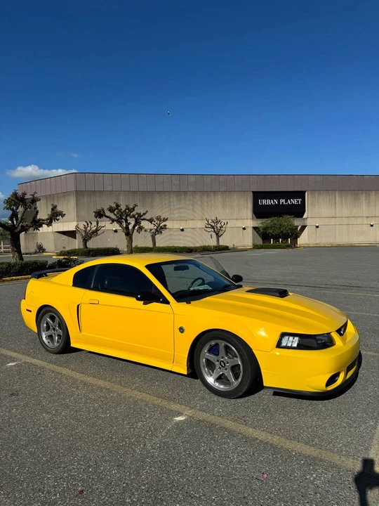2004 Ford SN95 Mustang - Image 3 of 9