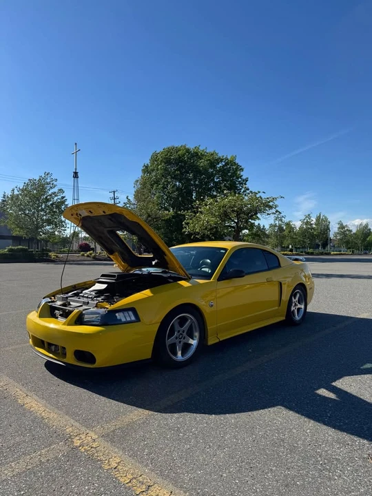 2004 Ford SN95 Mustang - Image 2 of 9