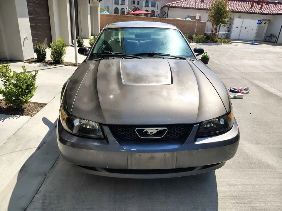 2004 Ford SN95 Mustang - Image 3 of 9