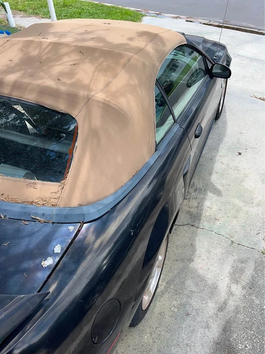 2004 Ford SN95 Mustang - Image 10 of 10
