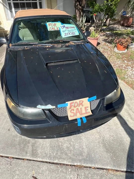 2004 Ford SN95 Mustang - Image 2 of 10