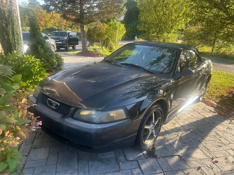 2004 Ford SN95 Mustang - Image 2 of 4