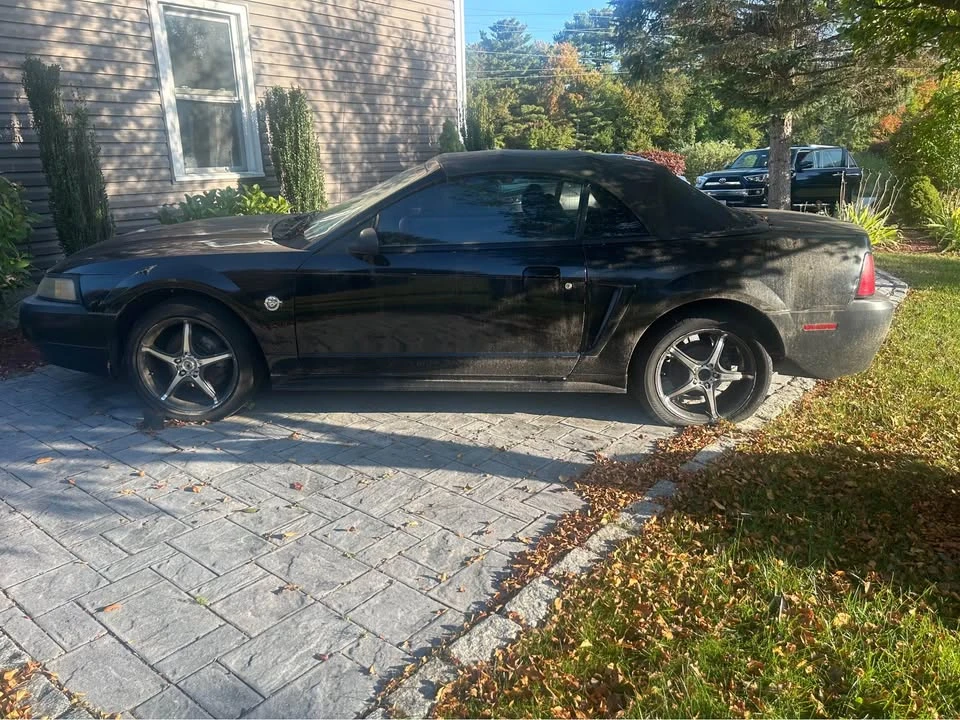 2004 Ford SN95 Mustang - Image 4 of 4