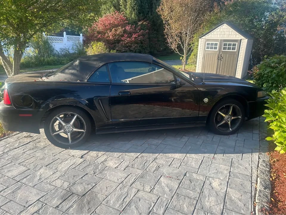 2004 Ford SN95 Mustang - Image 3 of 4