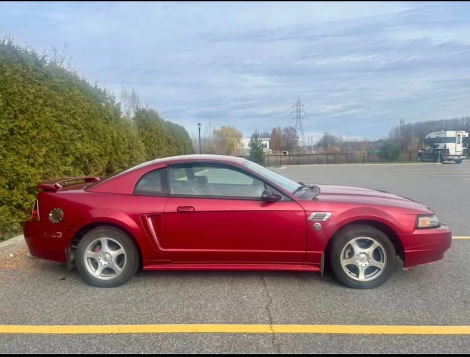 2004 Ford SN95 Mustang - Image 3 of 7