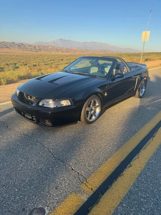 2004 Ford SN95 Mustang Cobra - Image 2 of 6