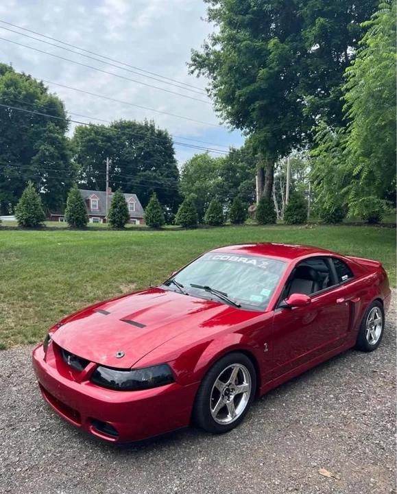 2004 Ford SN95 Mustang Cobra - Image 6 of 8