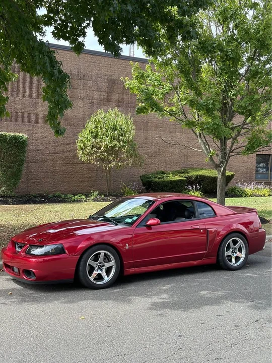 2004 Ford SN95 Mustang Cobra - Image 7 of 8